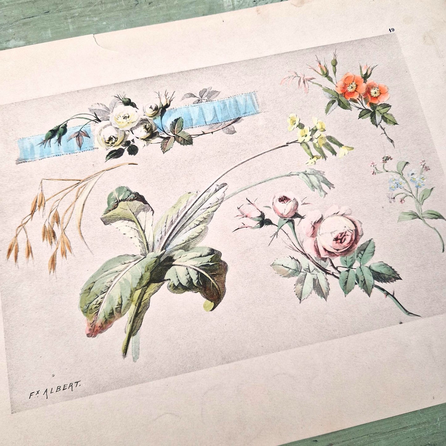 Antique print "Floral Studies" - Fx Albert