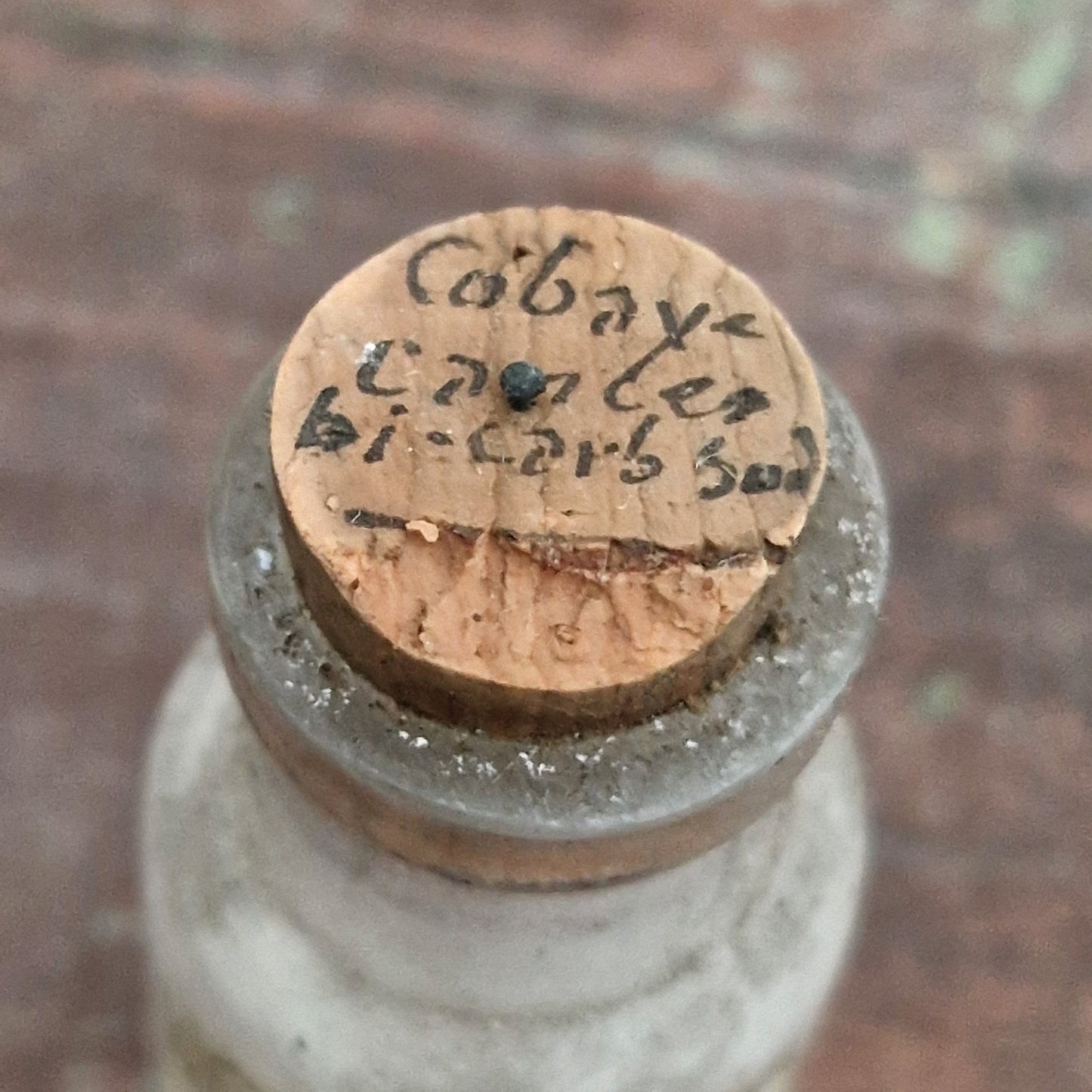 "Cancer Guinea Pig - Bicarbonate of Soda" bottle, 1908 (f49)