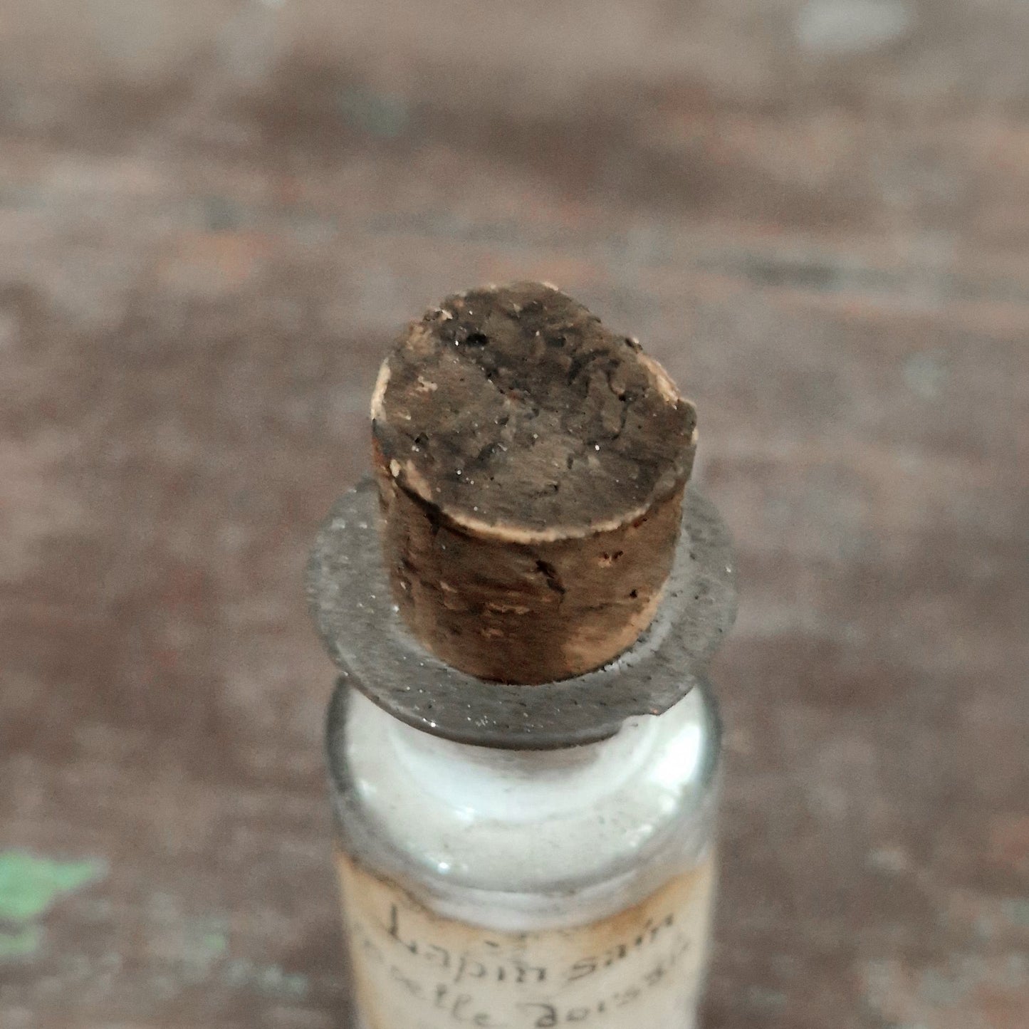 Vial for scientific use "Healthy Rabbit - Dorsal Marrow" (f9)