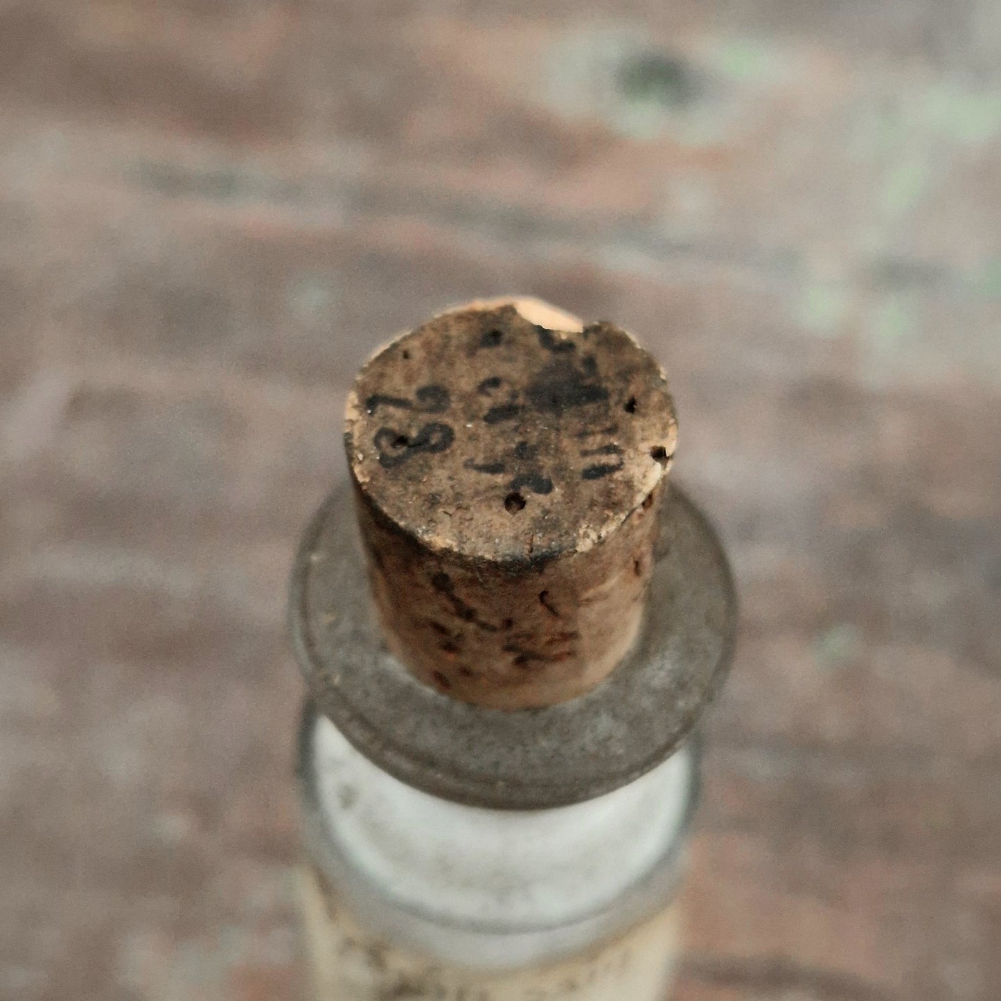 Old laboratory bottle "Healthy Rabbit - Penis", no. 28 (f5)