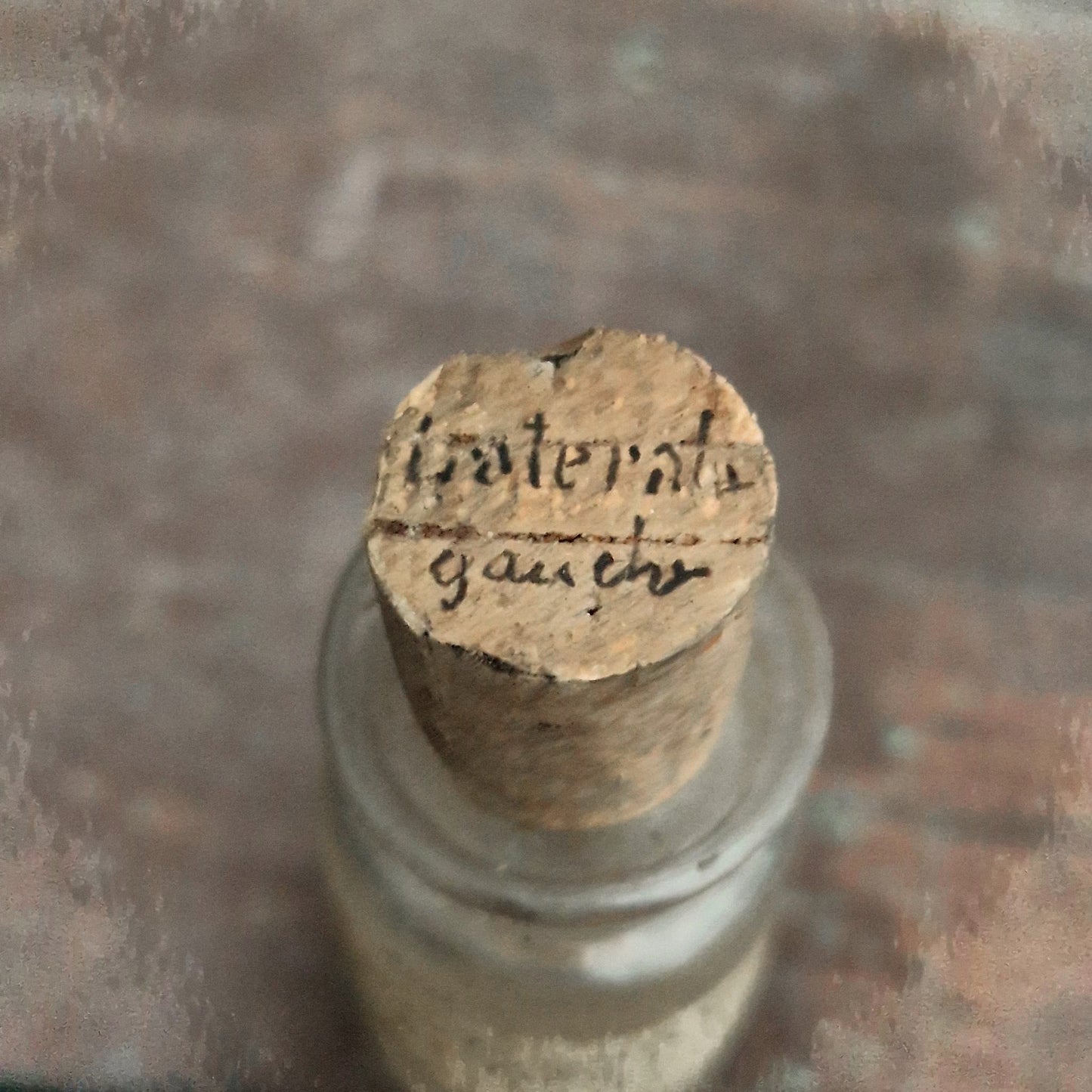 Vial "Male Sheep - Left Part of Brain", 1917 (f11)