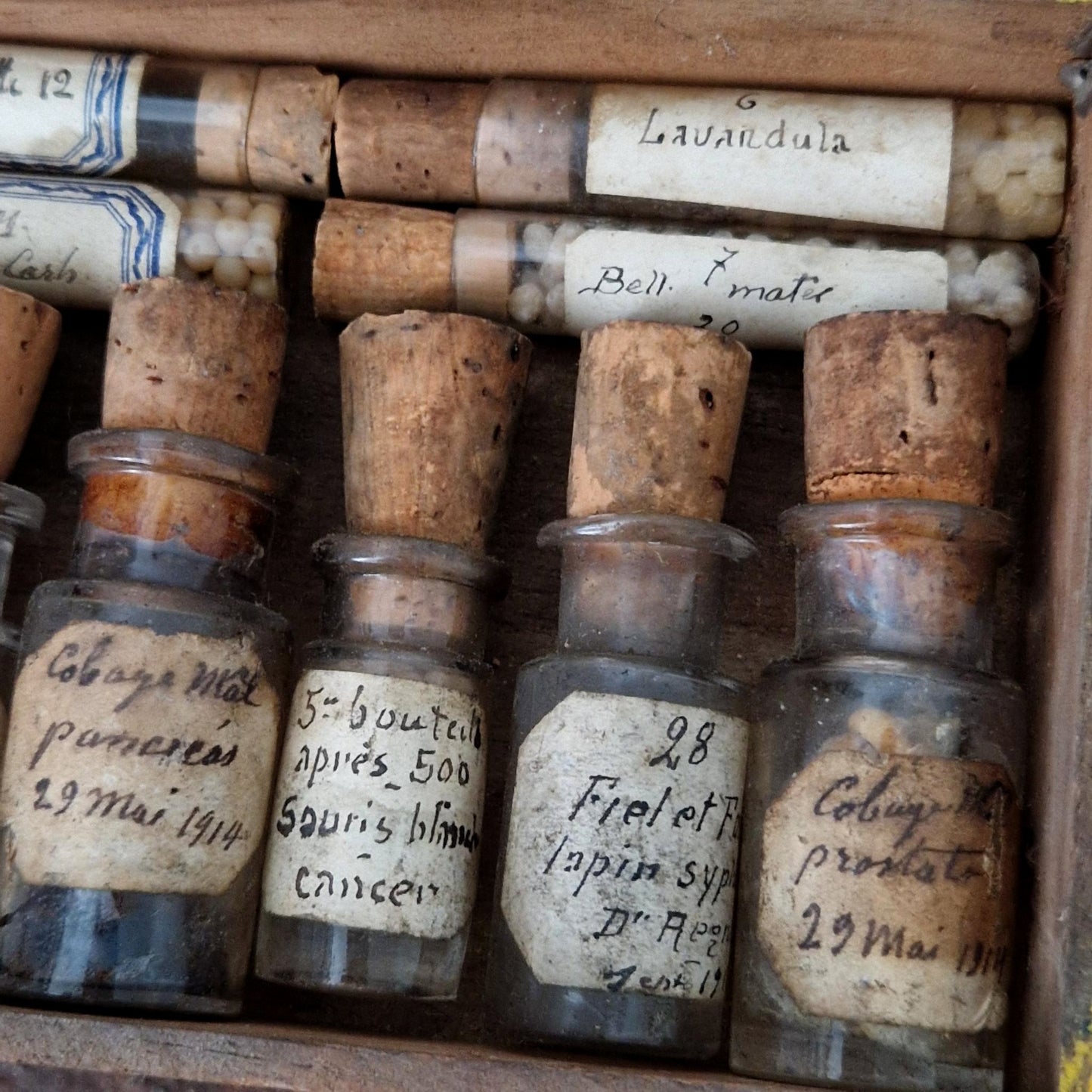 Cabinet of curiosities: pharmaceutical vials and tubes (c4)