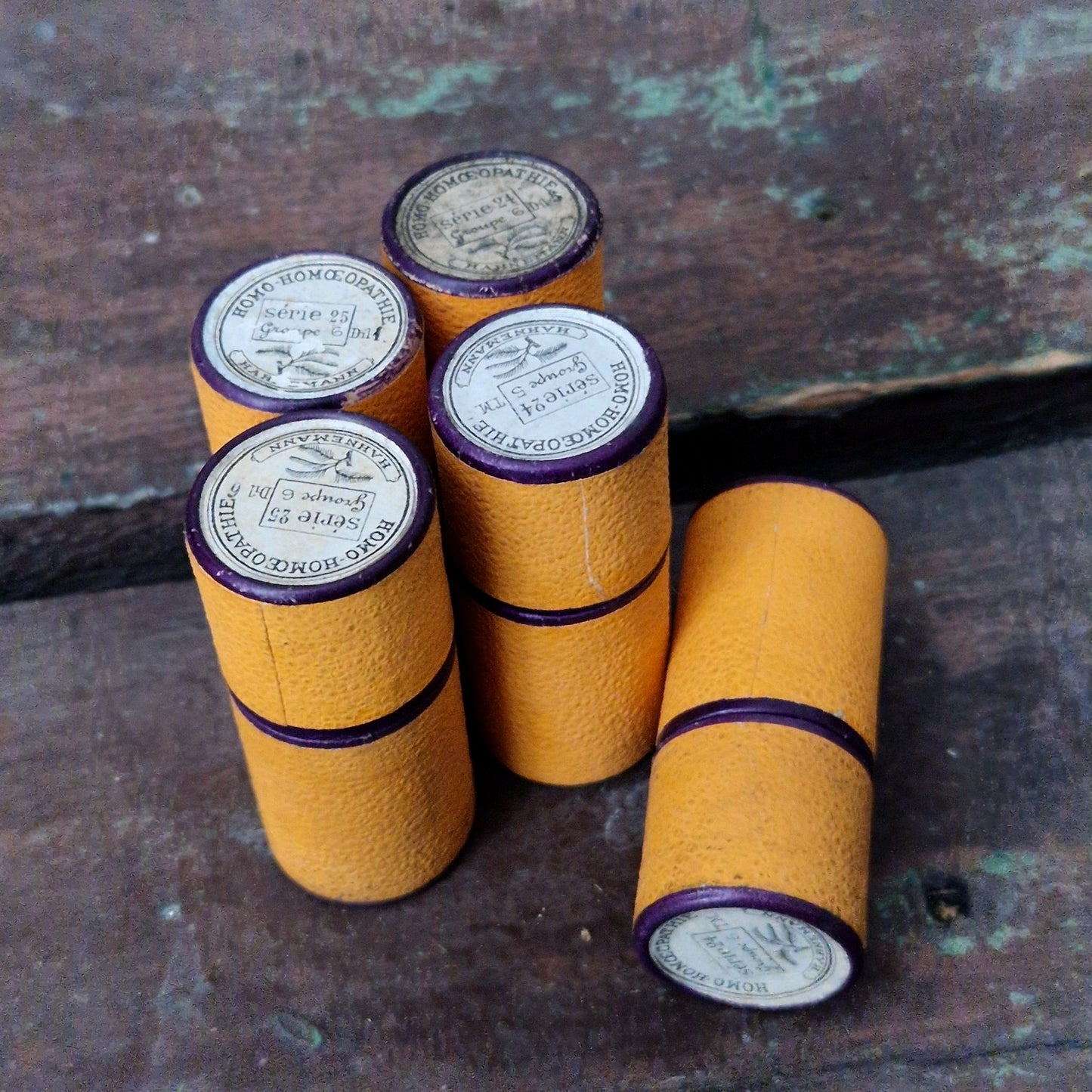 5 mini fioles homéopathiques dans leur étui (l29)