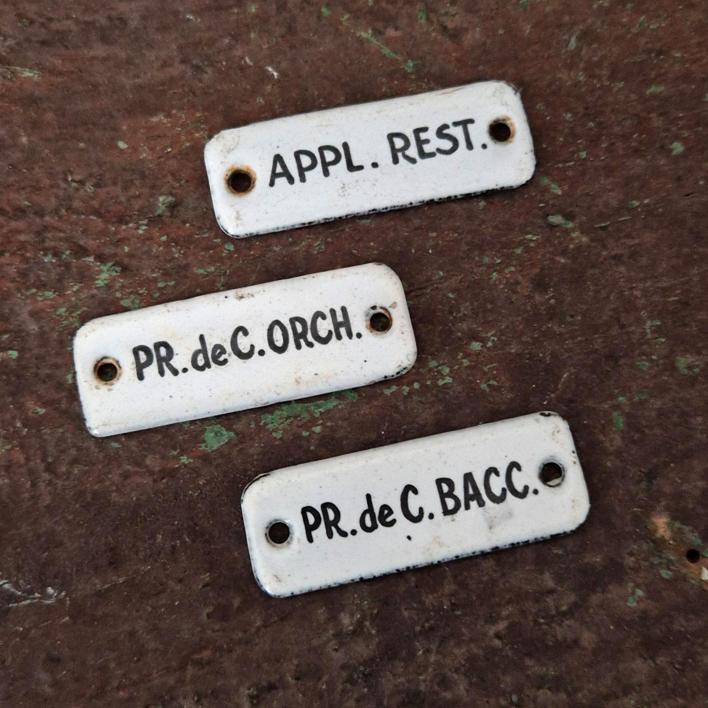 Set of 3 small enameled plates