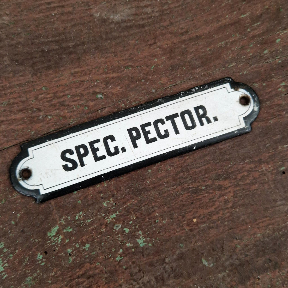 Plaque émaillée pharmaceutique « Spec. Pector. »