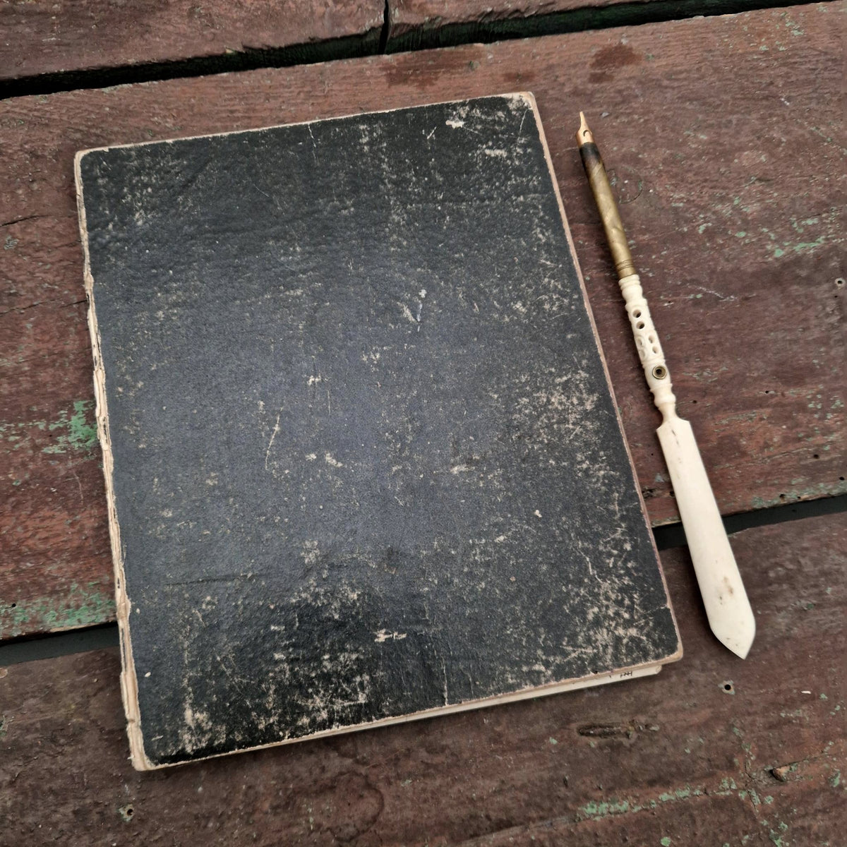 Journal manuscrit de voyage en Italie - Émilie - 1863
