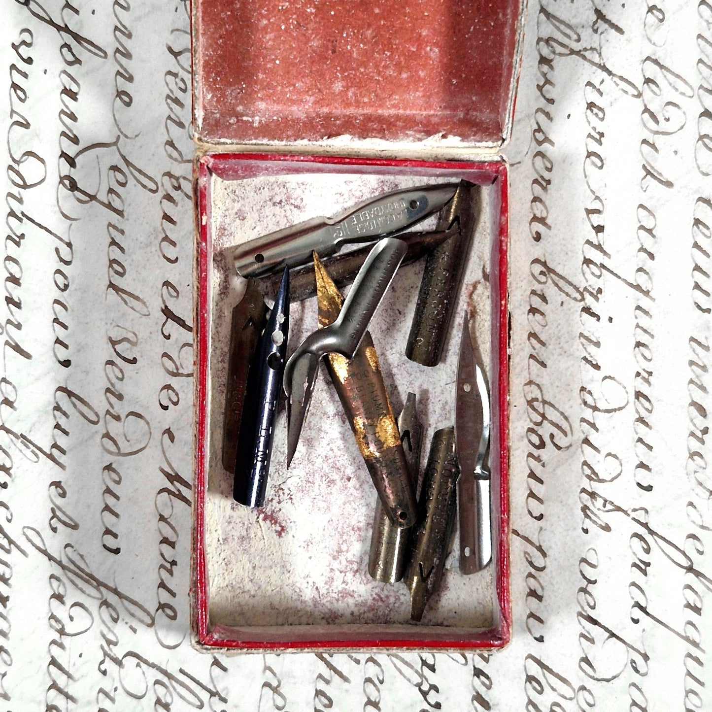 antique pen nibs box the tirailleur