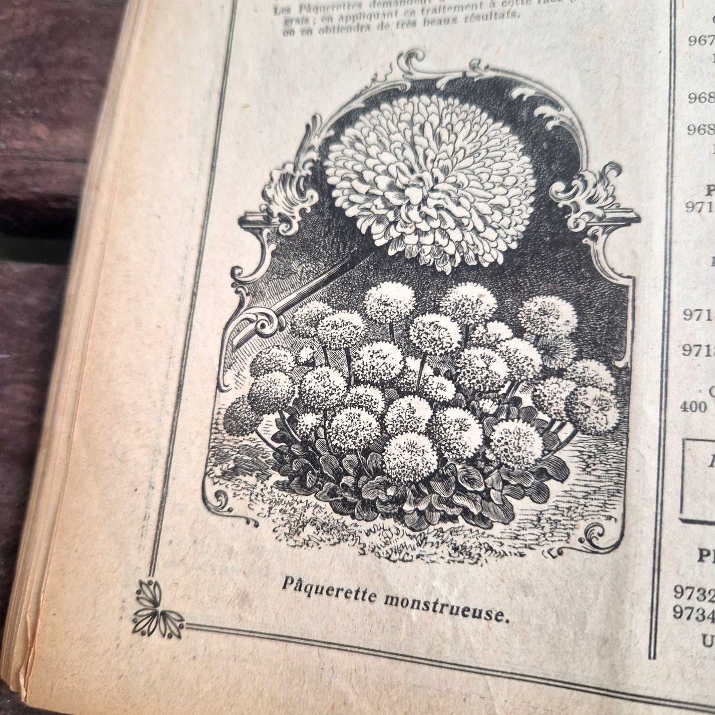 catalogue semences vintage rivoire lyon