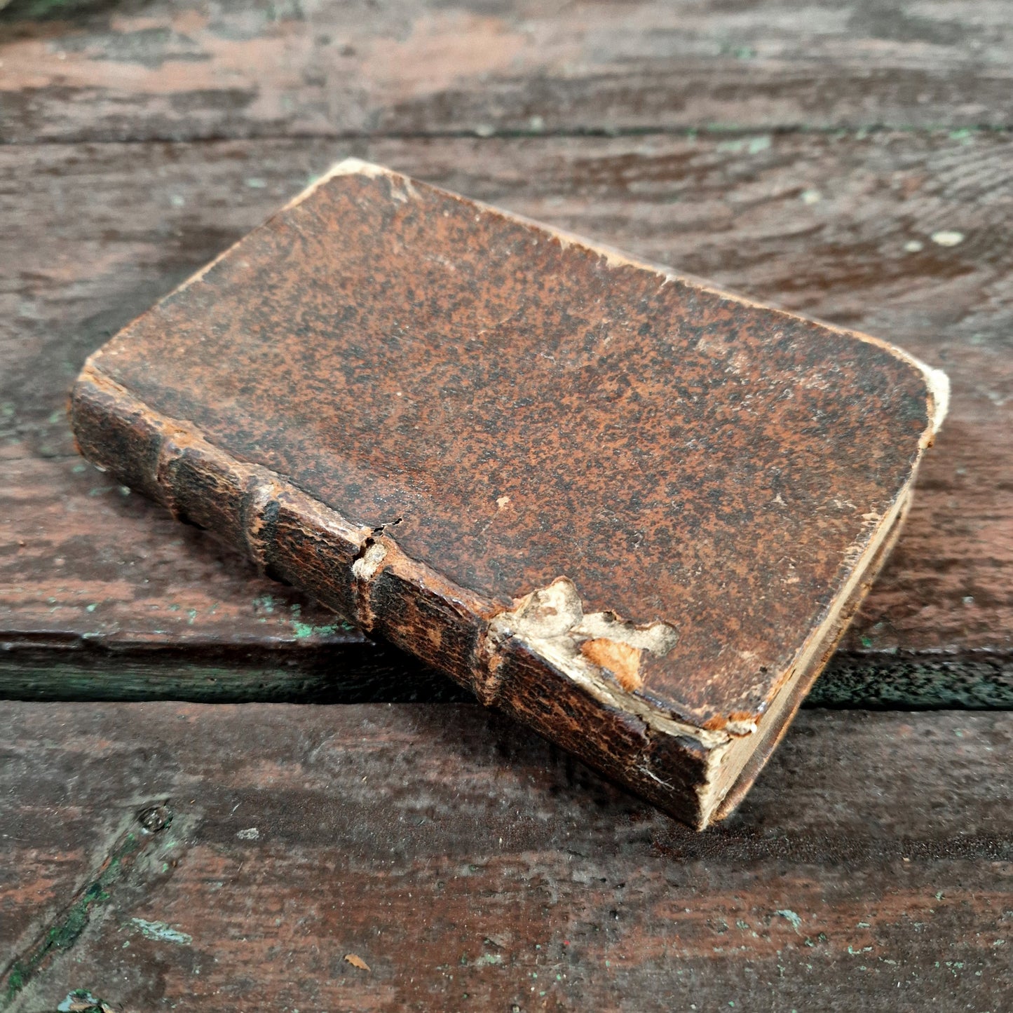 chiromancy royale first edition 1667