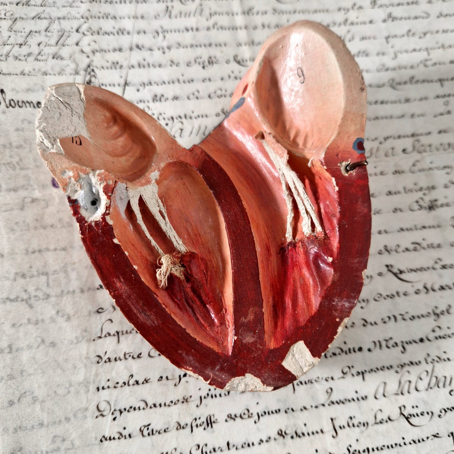 coeur pedagogique platre cabinet