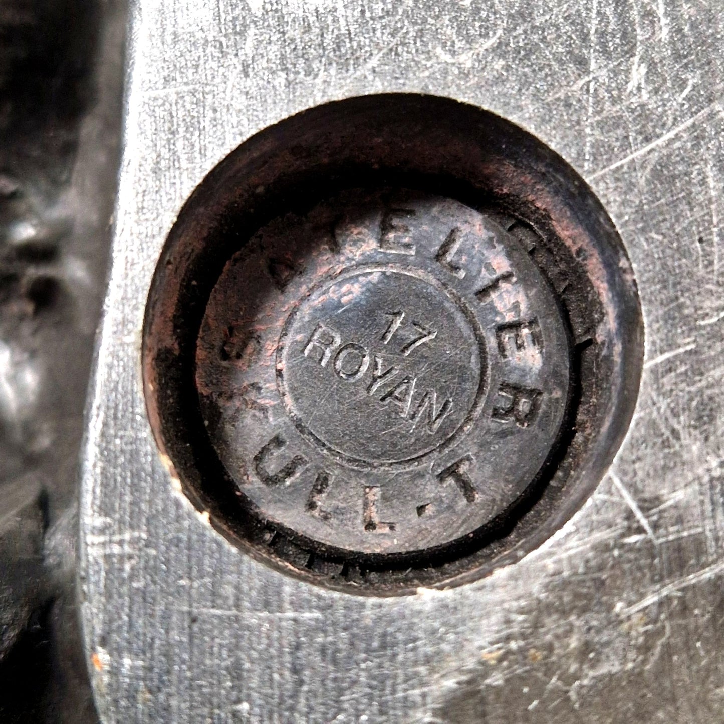 gothic skull pewter cabinet of curiosity