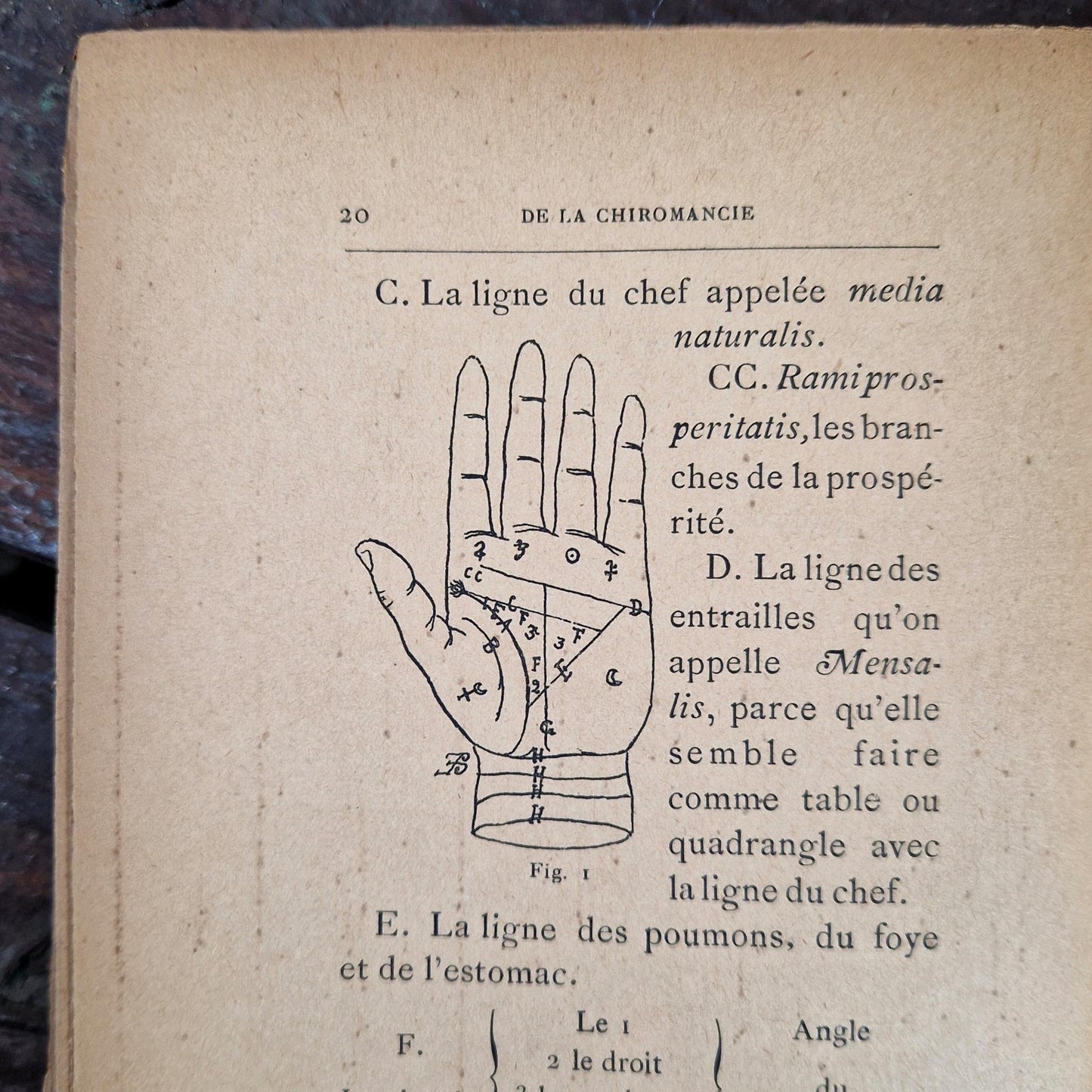 philippe may franconie chiromancie