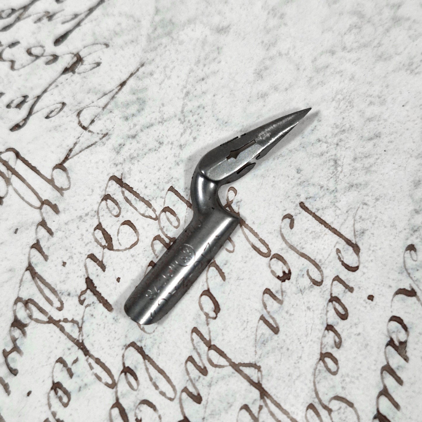 plume de collection zigzag art nouveau