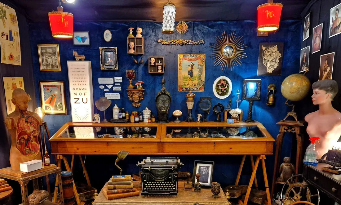 Cabinet de curiosités - wunderkammer