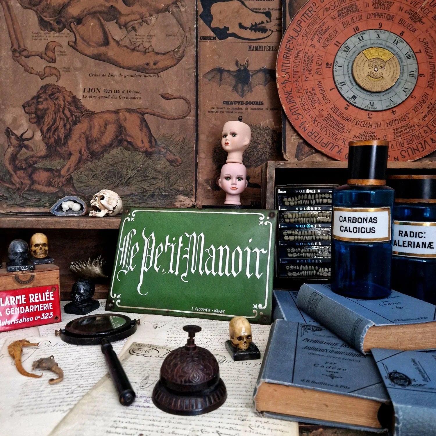 Cabinet de curiosités et collection d'objets curieux