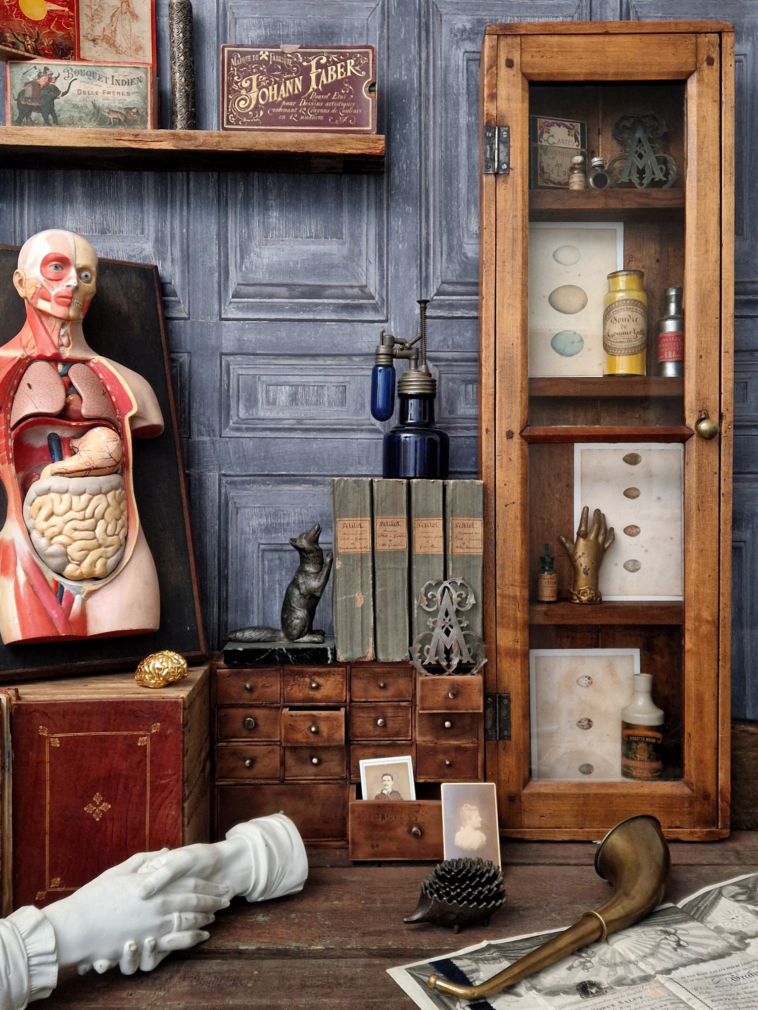 Cabinet de curiosités