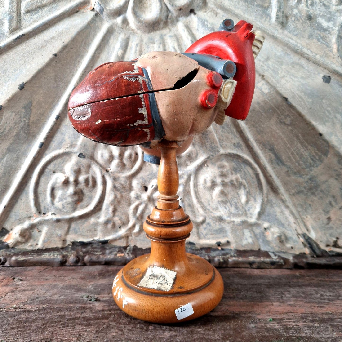 1900 anatomical heart painted model