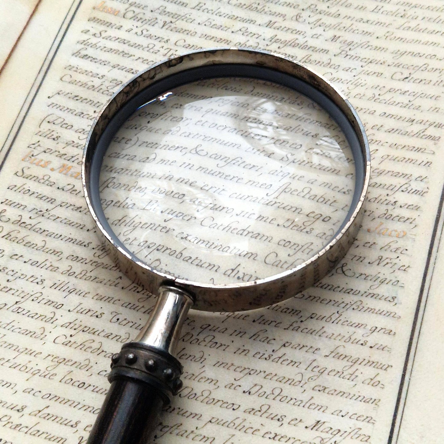 Grande loupe - manche en bois exotique, embout éléphant