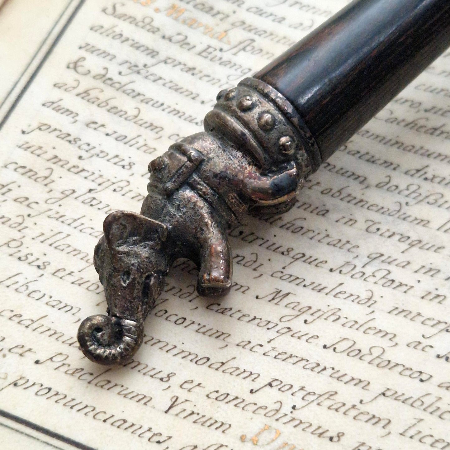 Grande loupe - manche en bois exotique, embout éléphant