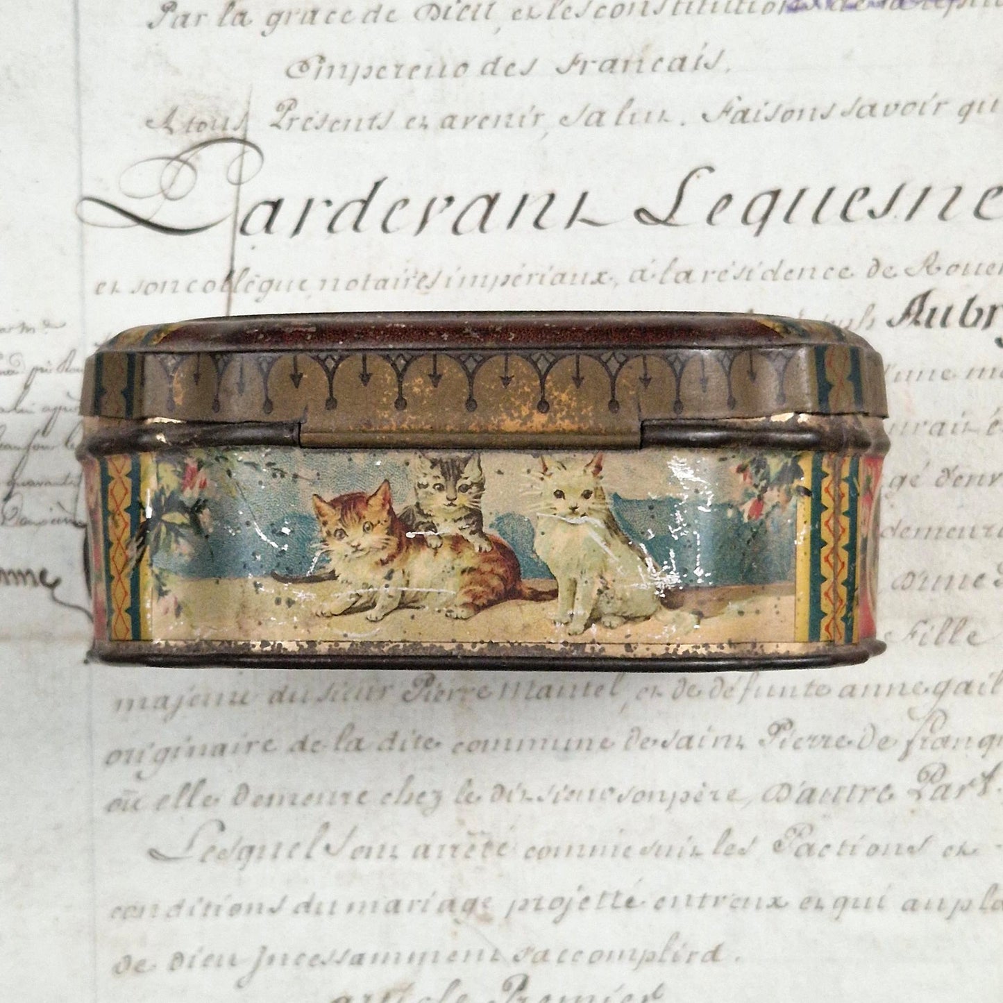 Boîte en tôle lithographiée « Décor de Chats »