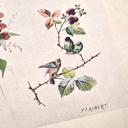 Planche illustrée aux oiseaux et fleurs - Fx. Albert