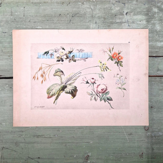 Antique print "Floral Studies" - Fx Albert