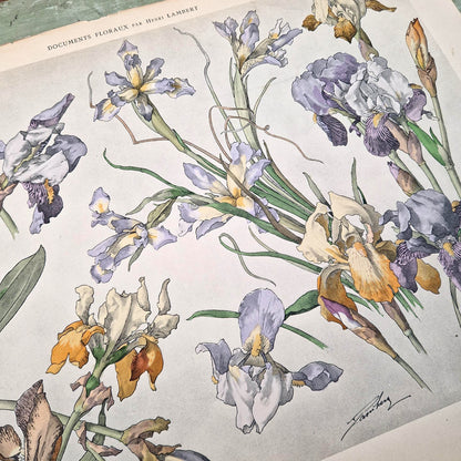Lithographie ancienne "IRIS" - Henry Lambert, vers 1900