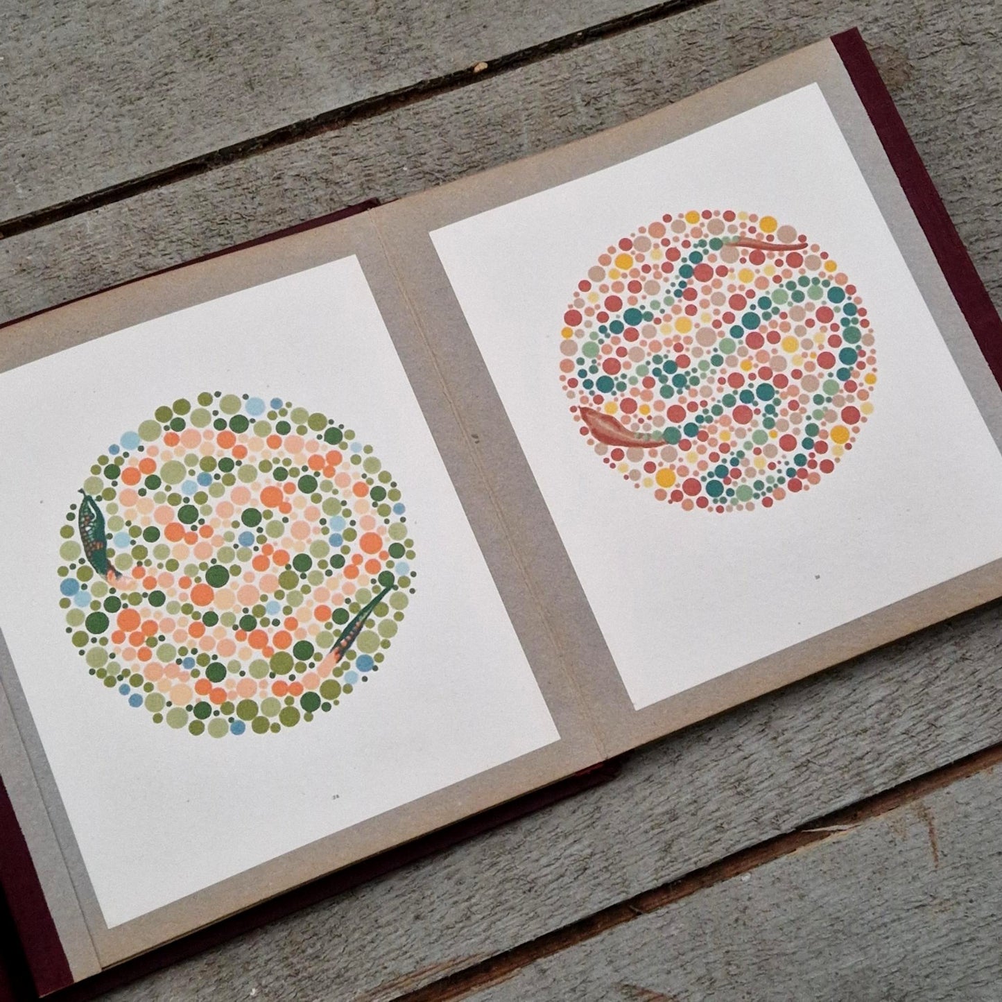 Atlas médical « Examen de la vision des couleurs » - Dr Polack