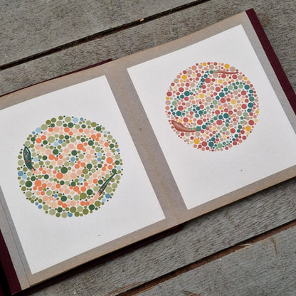 Atlas médical « Examen de la vision des couleurs » - Dr Polack