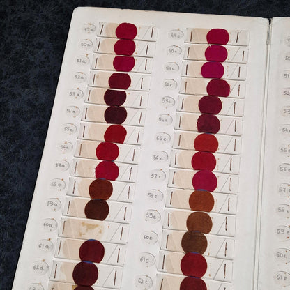 "Bianchini" textile color chart, dye samples - Lyon