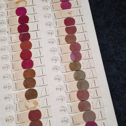 "Bianchini" textile color chart, dye samples - Lyon