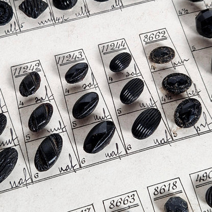 Planche échantillons de boutons « Paris Élégance », Vers 1900