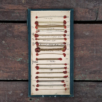 Card of twisted cord trimmings, 19th century