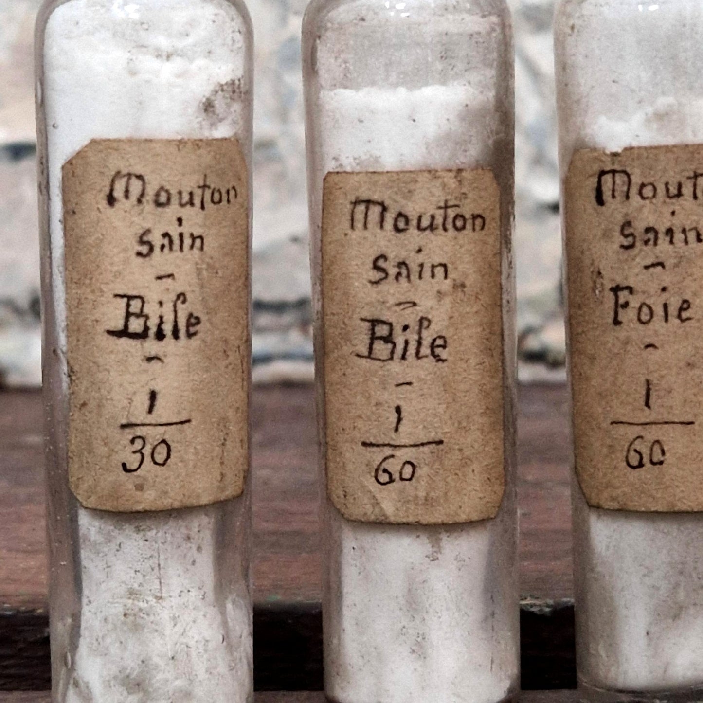 Set of 4 scientific vials "Healthy sheep - bile / liver" (l5)