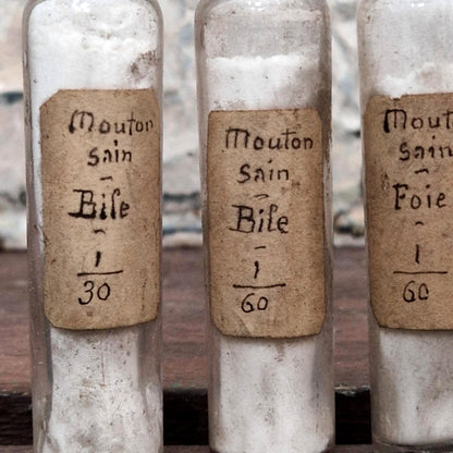 Set of 4 scientific vials "Healthy sheep - bile / liver" (l5)