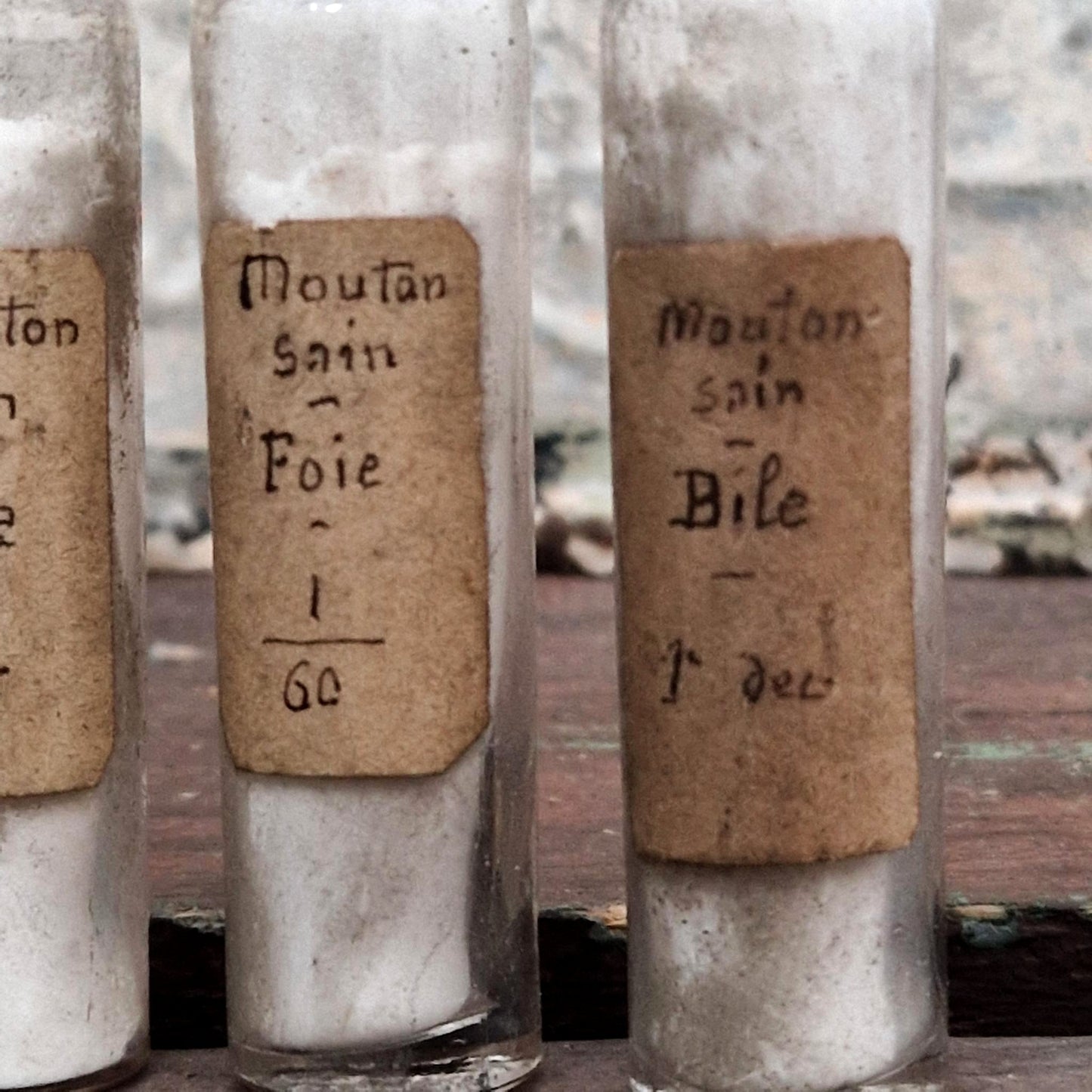 Set of 4 scientific vials "Healthy sheep - bile / liver" (l5)