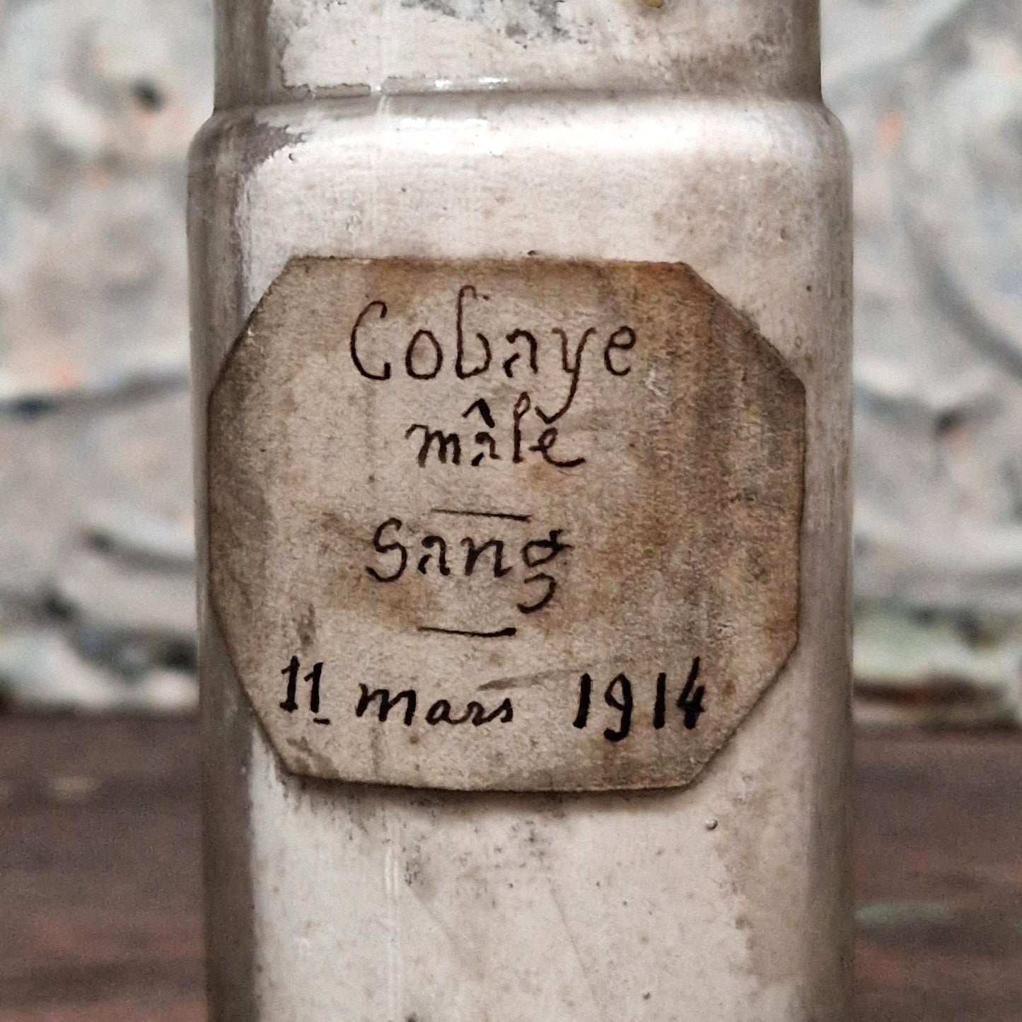 Large antique bottle "Male guinea pig blood", 1914 (f32)