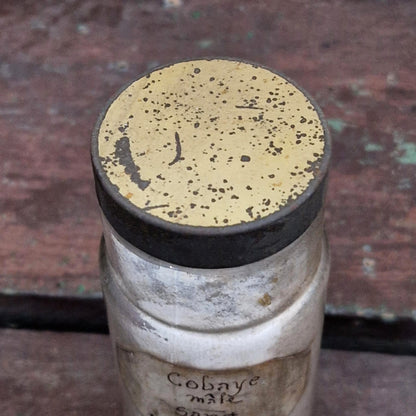 Large antique bottle "Male guinea pig blood", 1914 (f32)