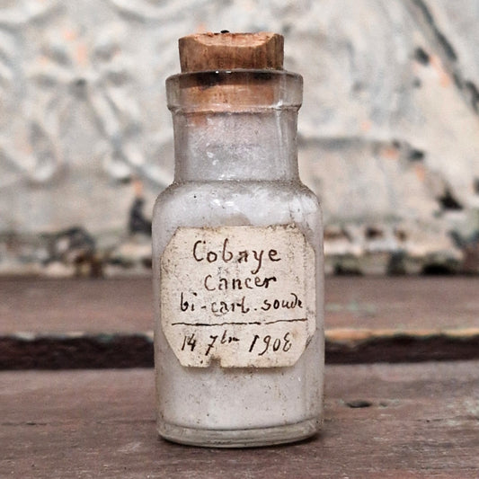 "Cancer Guinea Pig - Bicarbonate of Soda" bottle, 1908 (f49)