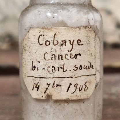 "Cancer Guinea Pig - Bicarbonate of Soda" bottle, 1908 (f49)