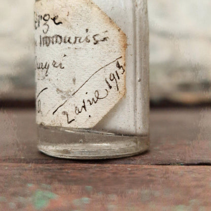 Small bottle "Verge - Immunized monkey Queyri", 1913 (f48)