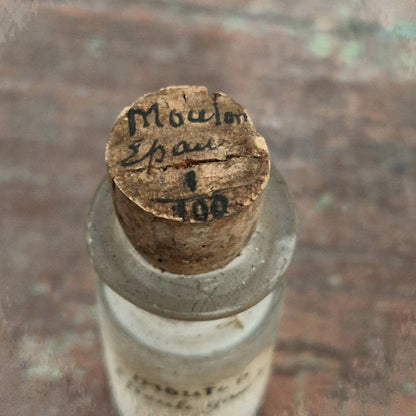 Old Laboratory Vial "Mouton Left Shoulder" (f22)