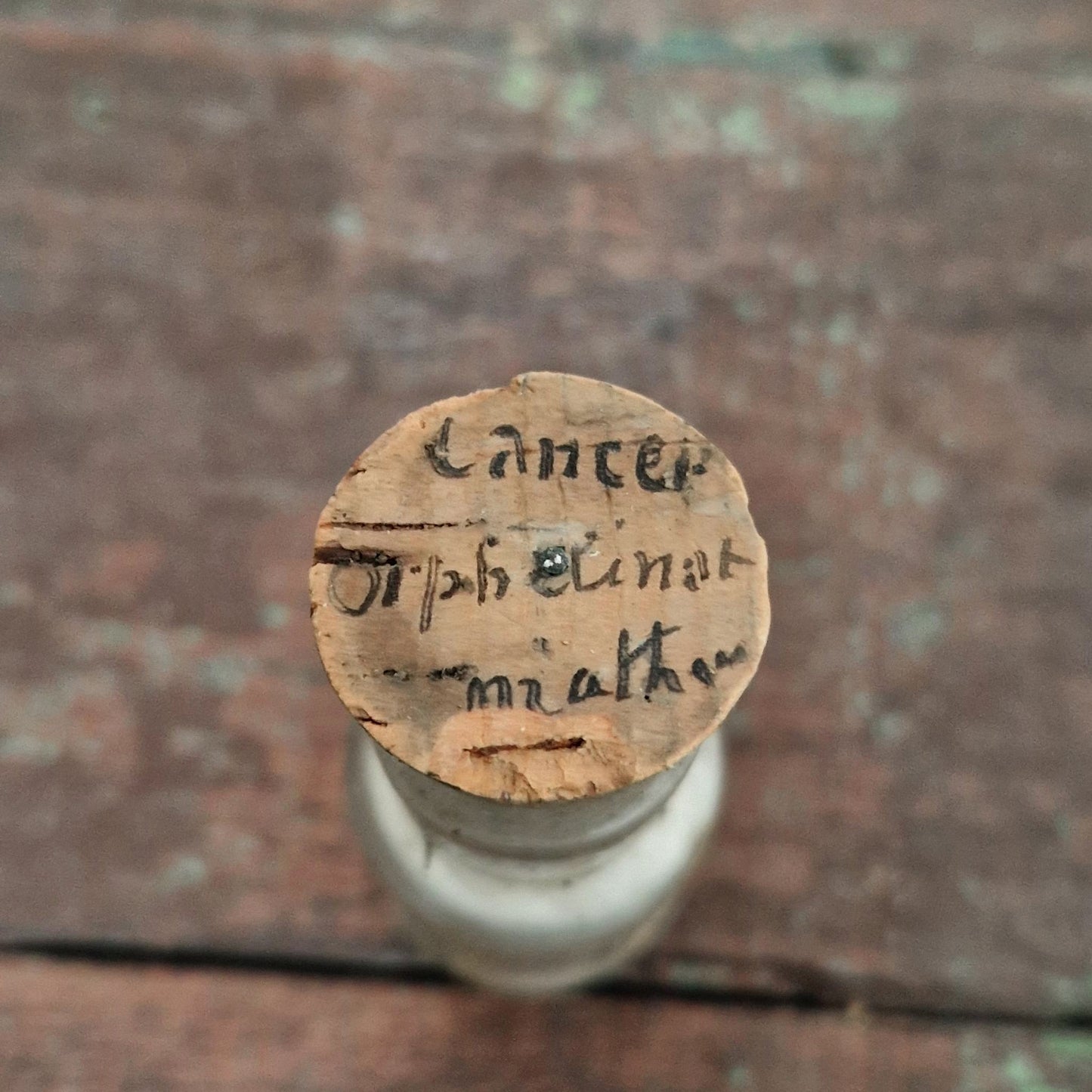 Medical curiosity: Vial "Cancer? Orphanage breast" (f27)