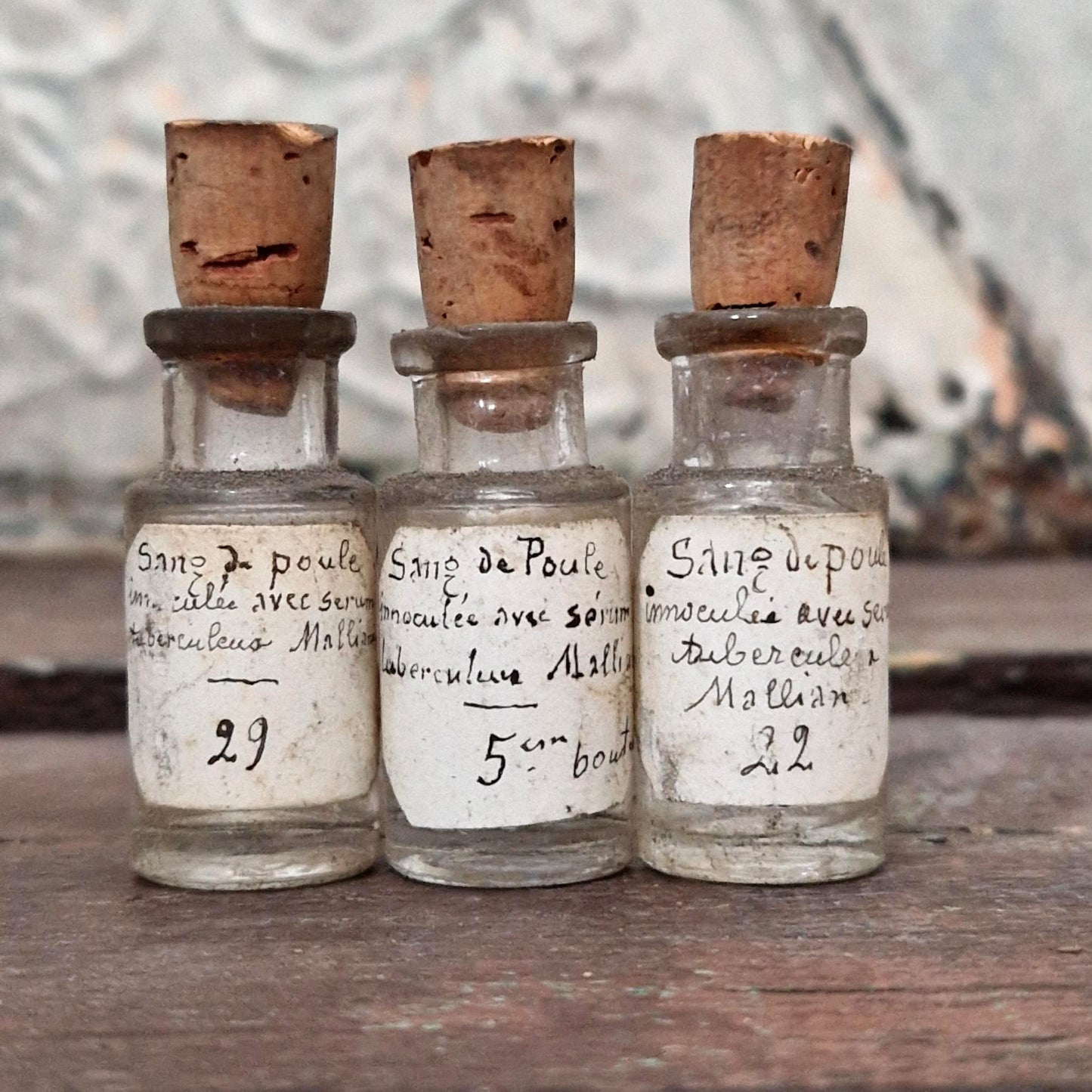 Lot of 3 experimental vials "Inoculated chicken blood" (l2)