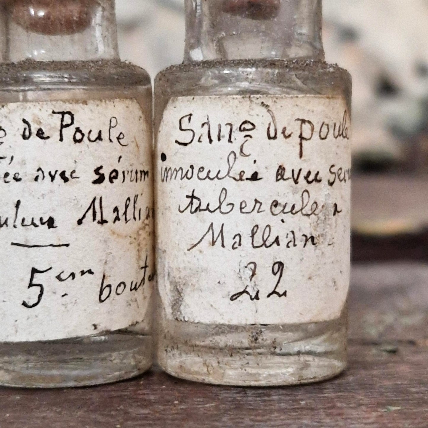 Lot of 3 experimental vials "Inoculated chicken blood" (l2)