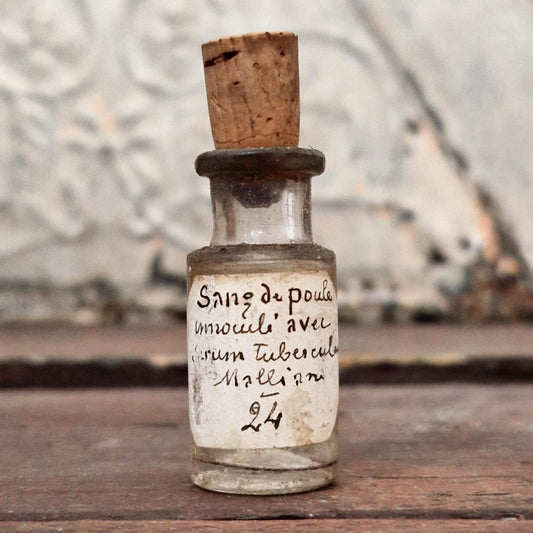 Ancien Flacon de laboratoire « Sang de poule inoculé » (f42)