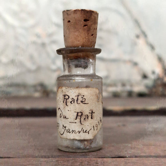 Experimental vial "Rat spleen" dated 1914 (f20)