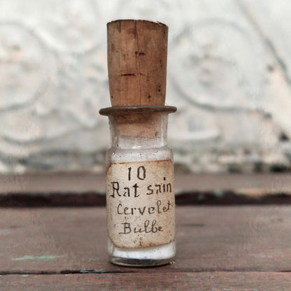 Laboratory flask "Healthy rat - Cerebellum Bulb", no. 10 (f4)