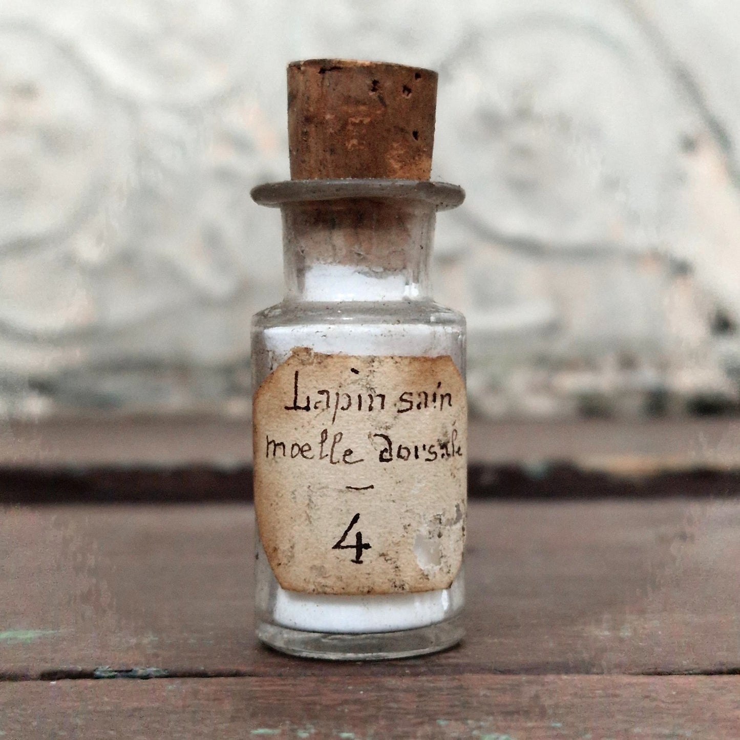 Vial for scientific use "Healthy Rabbit - Dorsal Marrow" (f9)