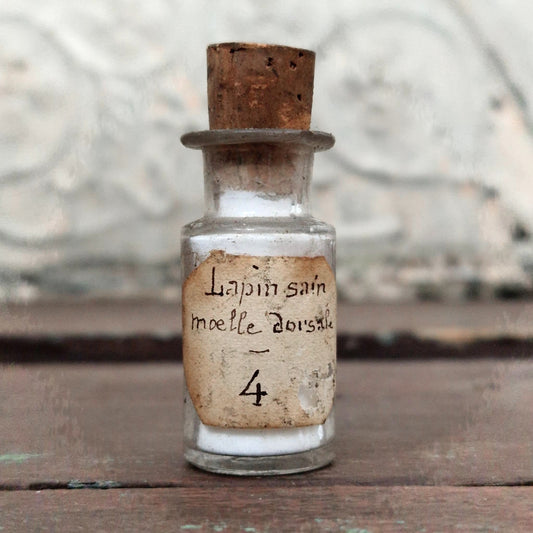 Vial for scientific use "Healthy Rabbit - Dorsal Marrow" (f9)